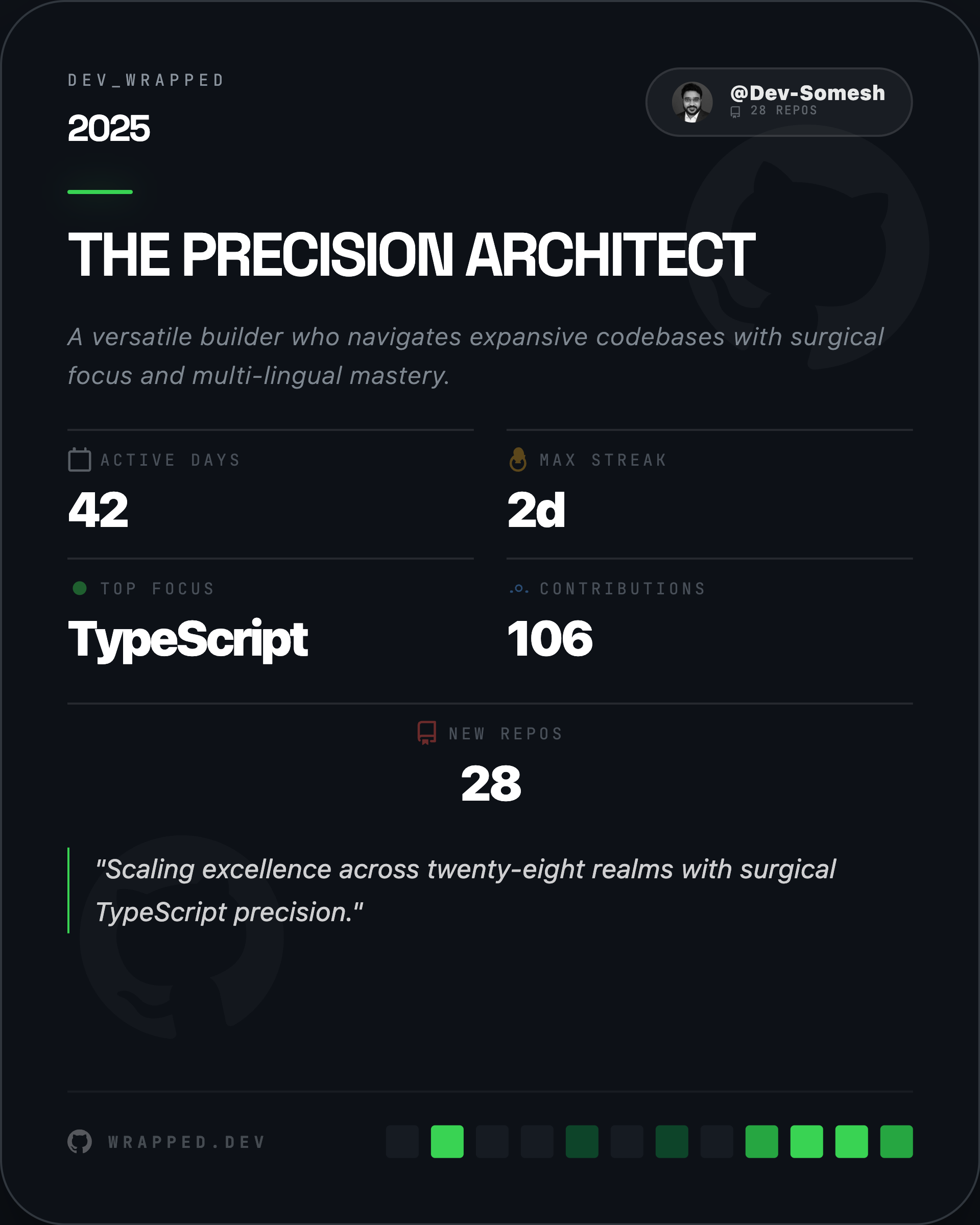 DevWrapped 2025 screenshot 2