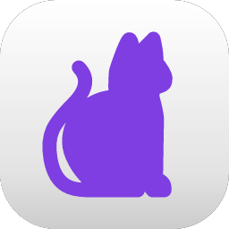 Invisicoder – Invisible AI for Interview screenshot 1