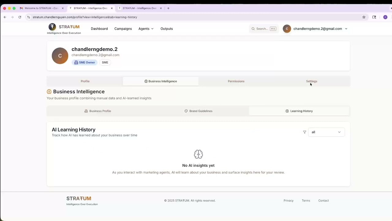 STRAŦUM - AI Marketing Intelligence screenshot 1