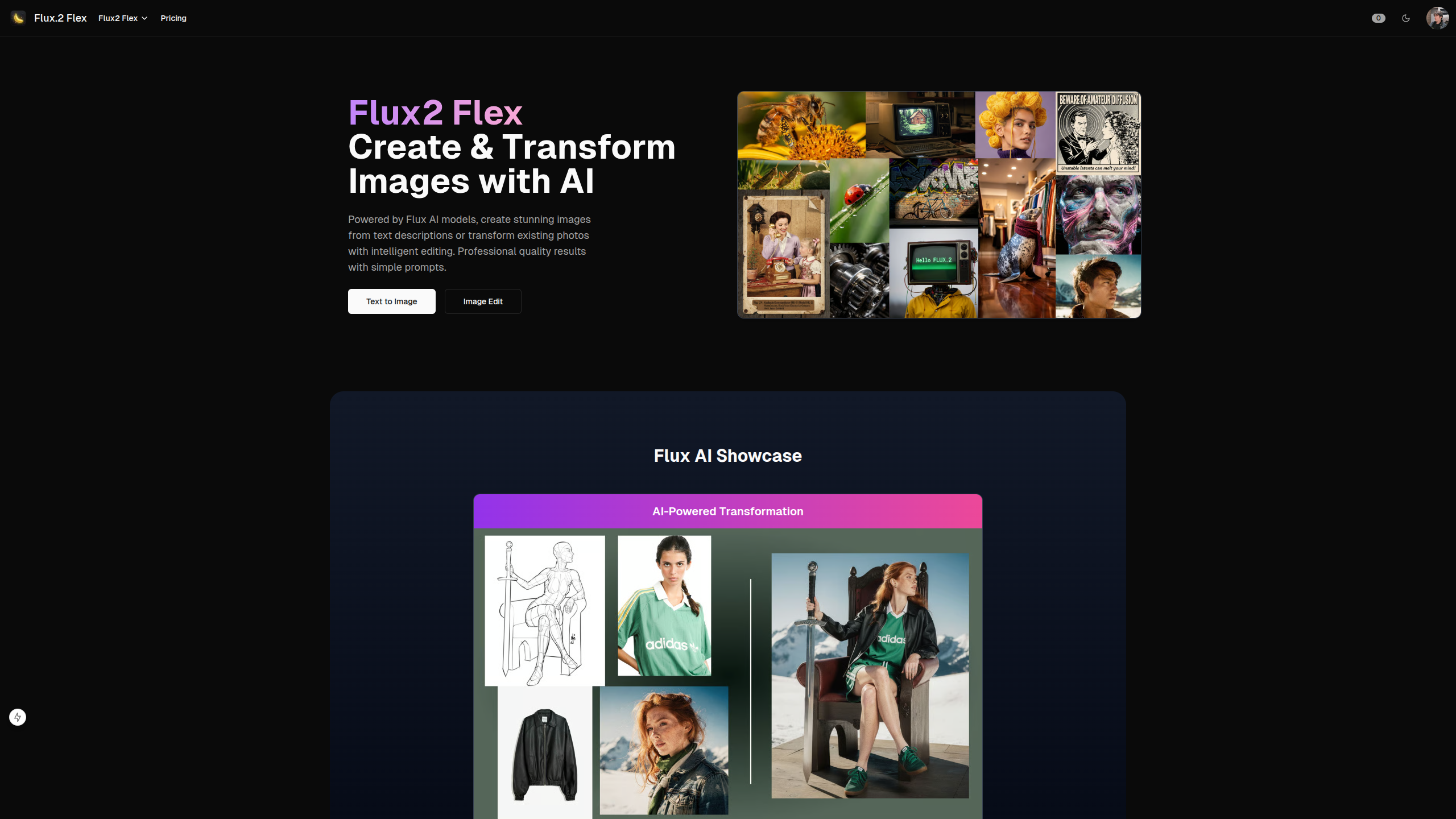 Flux.2 Flex screenshot 1