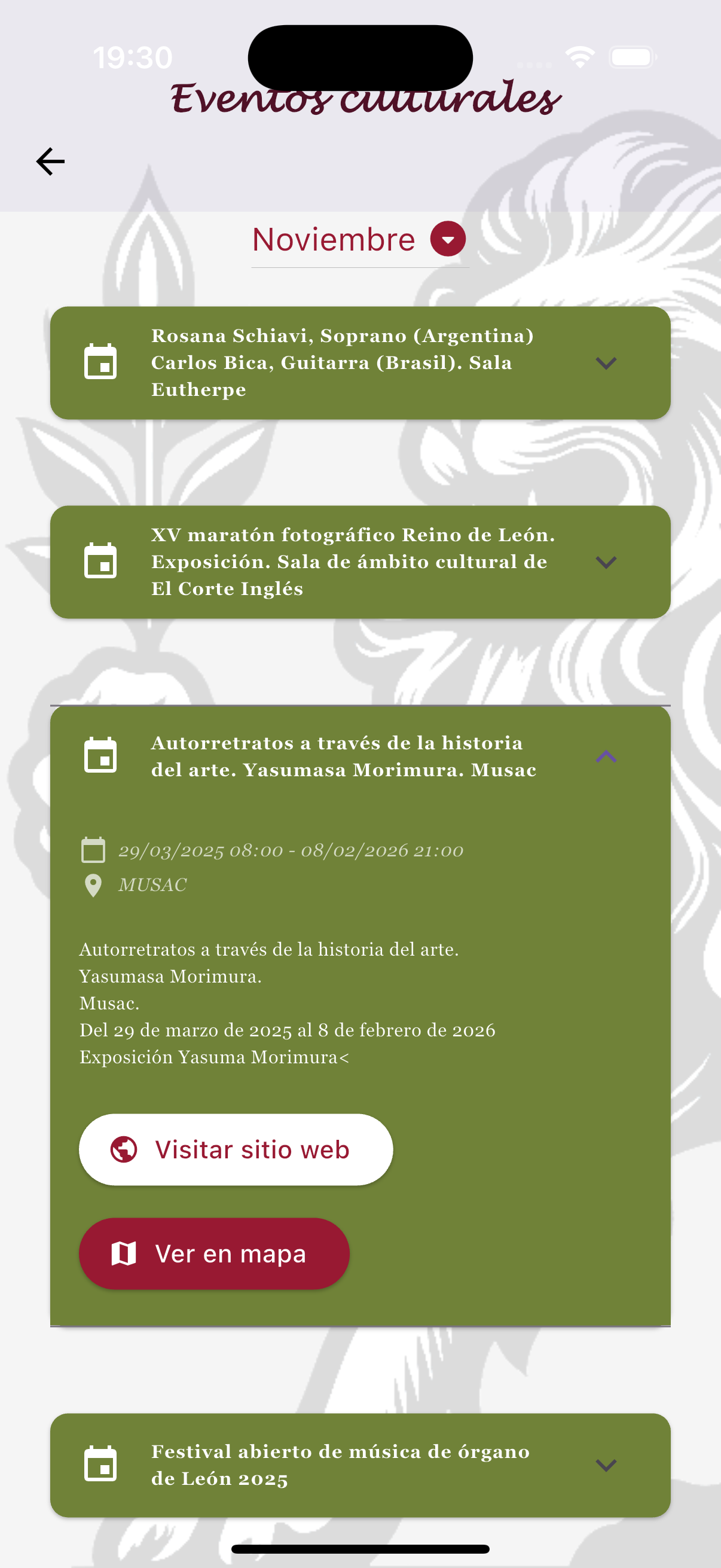 Voz de León screenshot 1