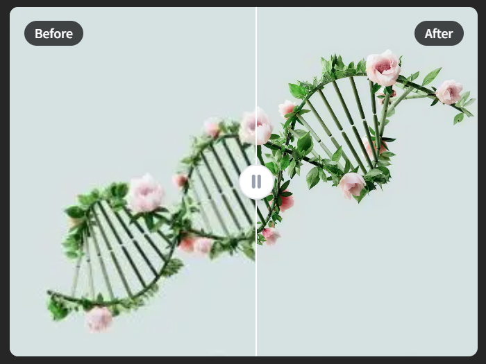 4kupscaler screenshot 3
