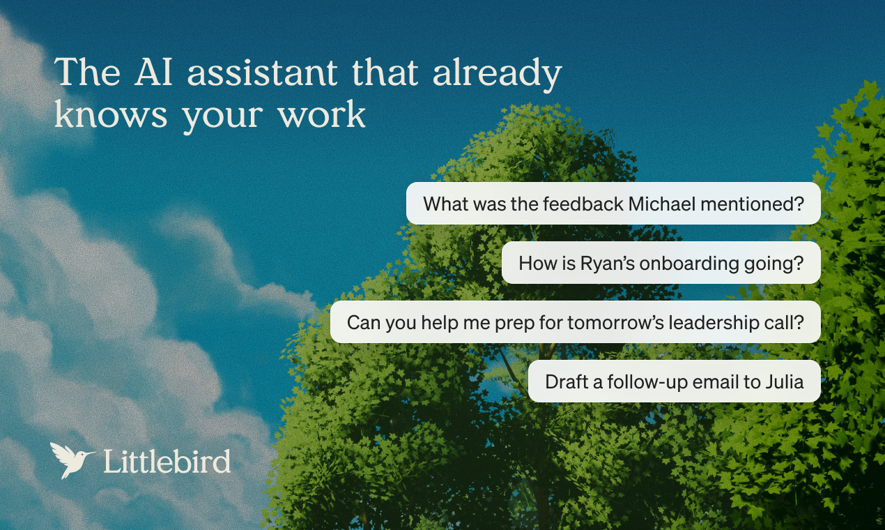 Littlebird screenshot 1