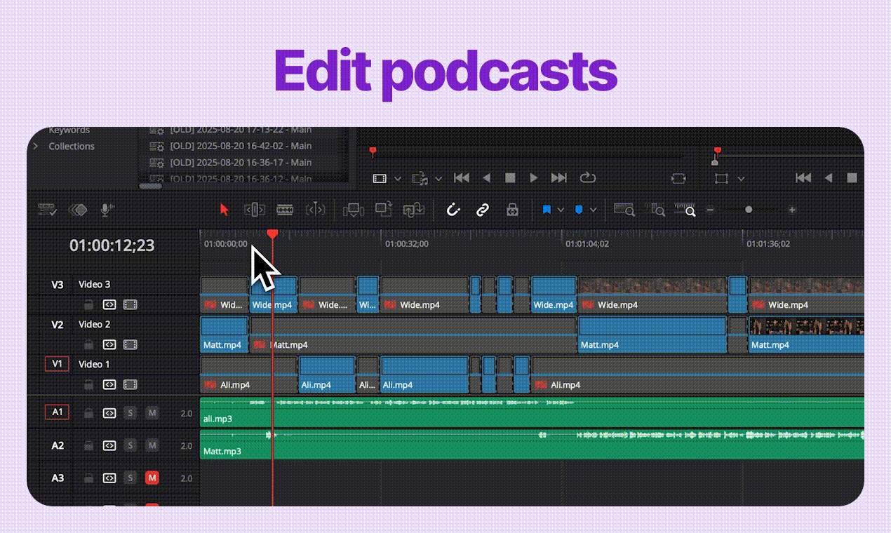 FireCut for DaVinci Resolve screenshot 4