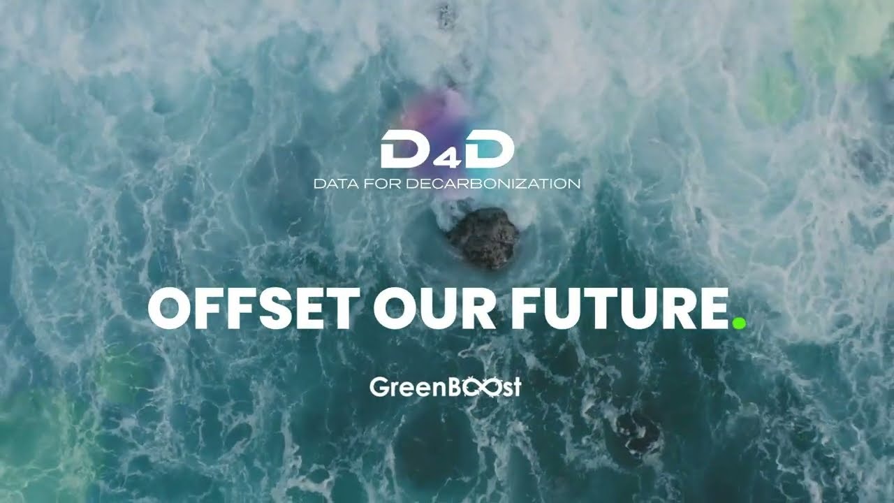 D4D screenshot 11