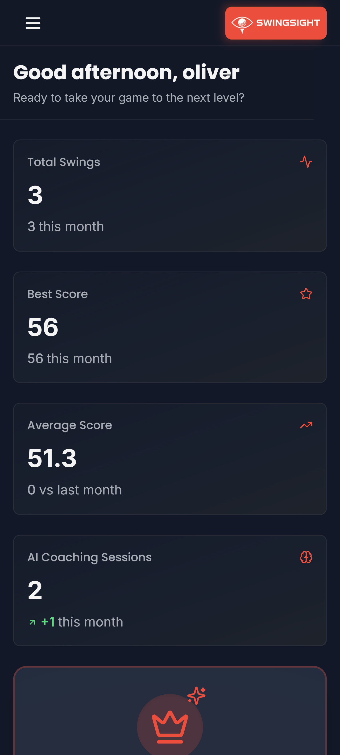 SwingSight screenshot 10