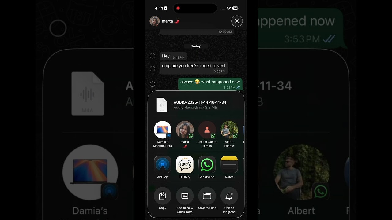 TLDRify: Summarize Voice Notes screenshot 1