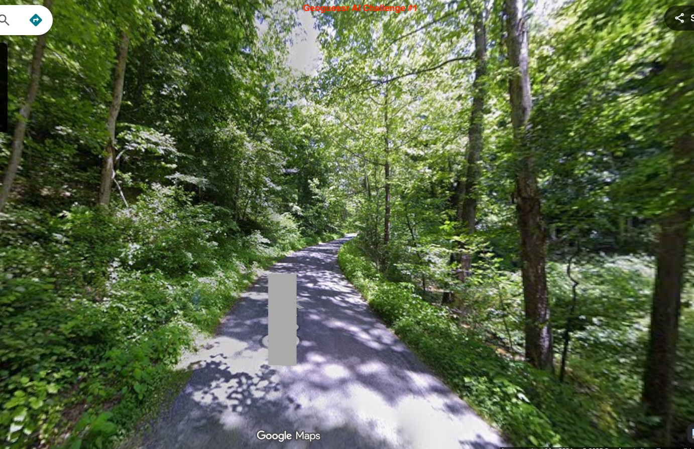 GeoGuessr.ai screenshot 2