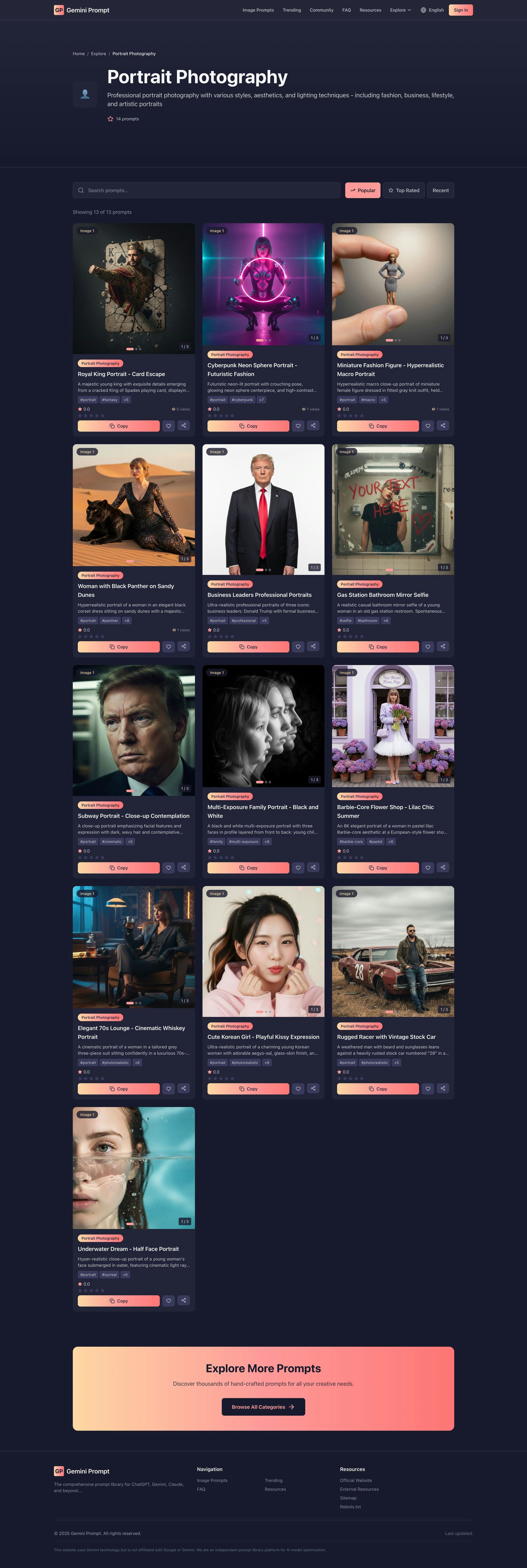 Gemini Prompt screenshot 3