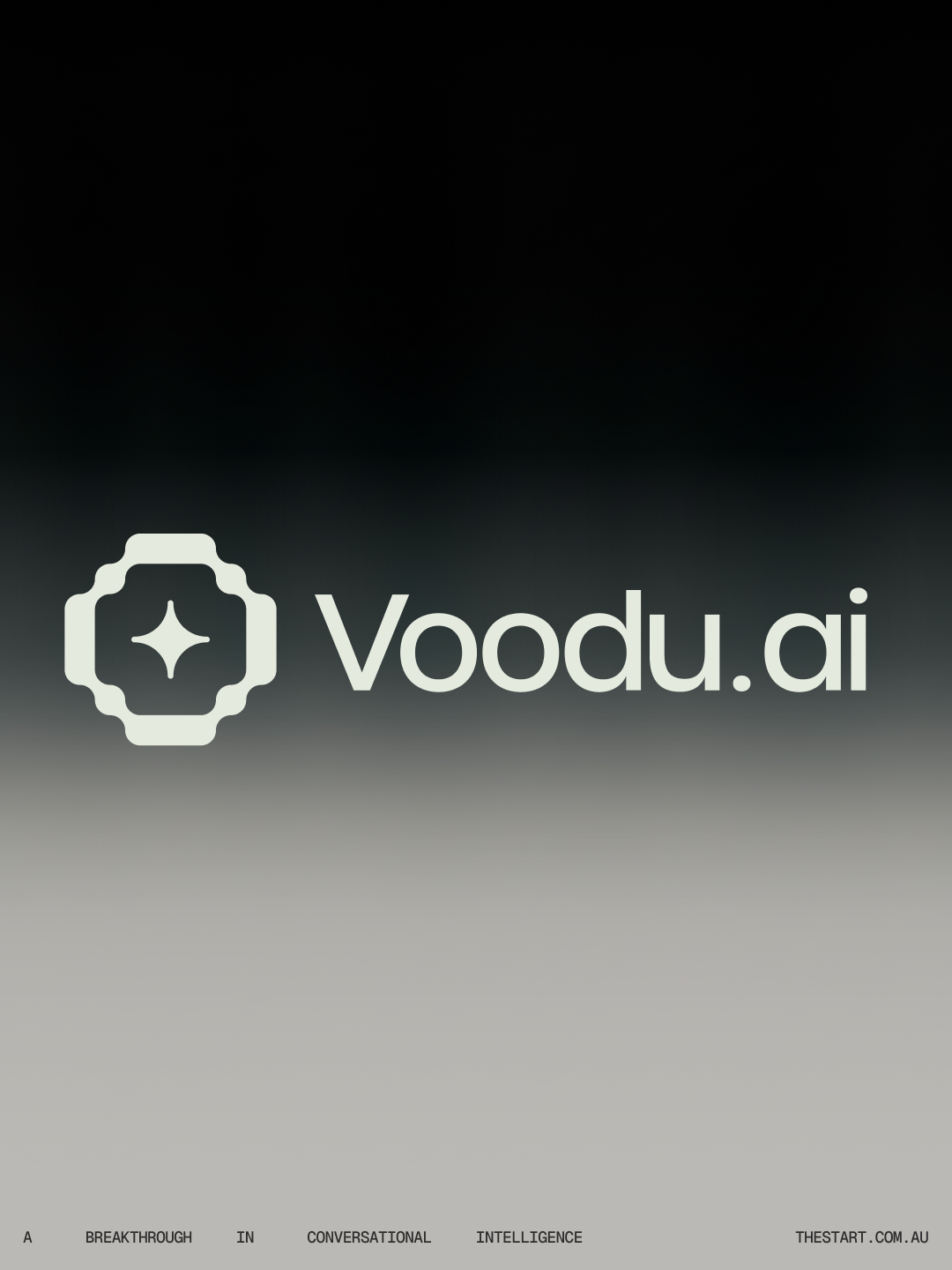 Voodu AI