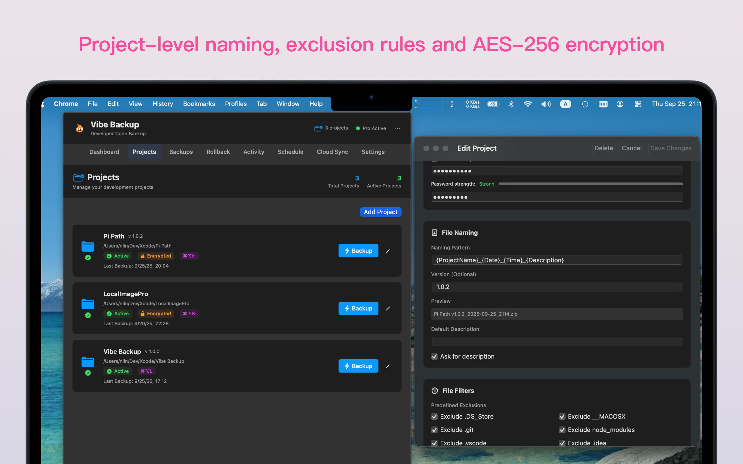 Vibe Backup screenshot 3