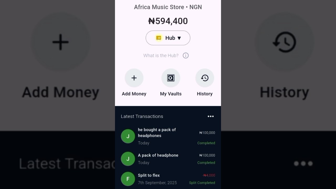 VaultSplit - Your AI CFO screenshot 1