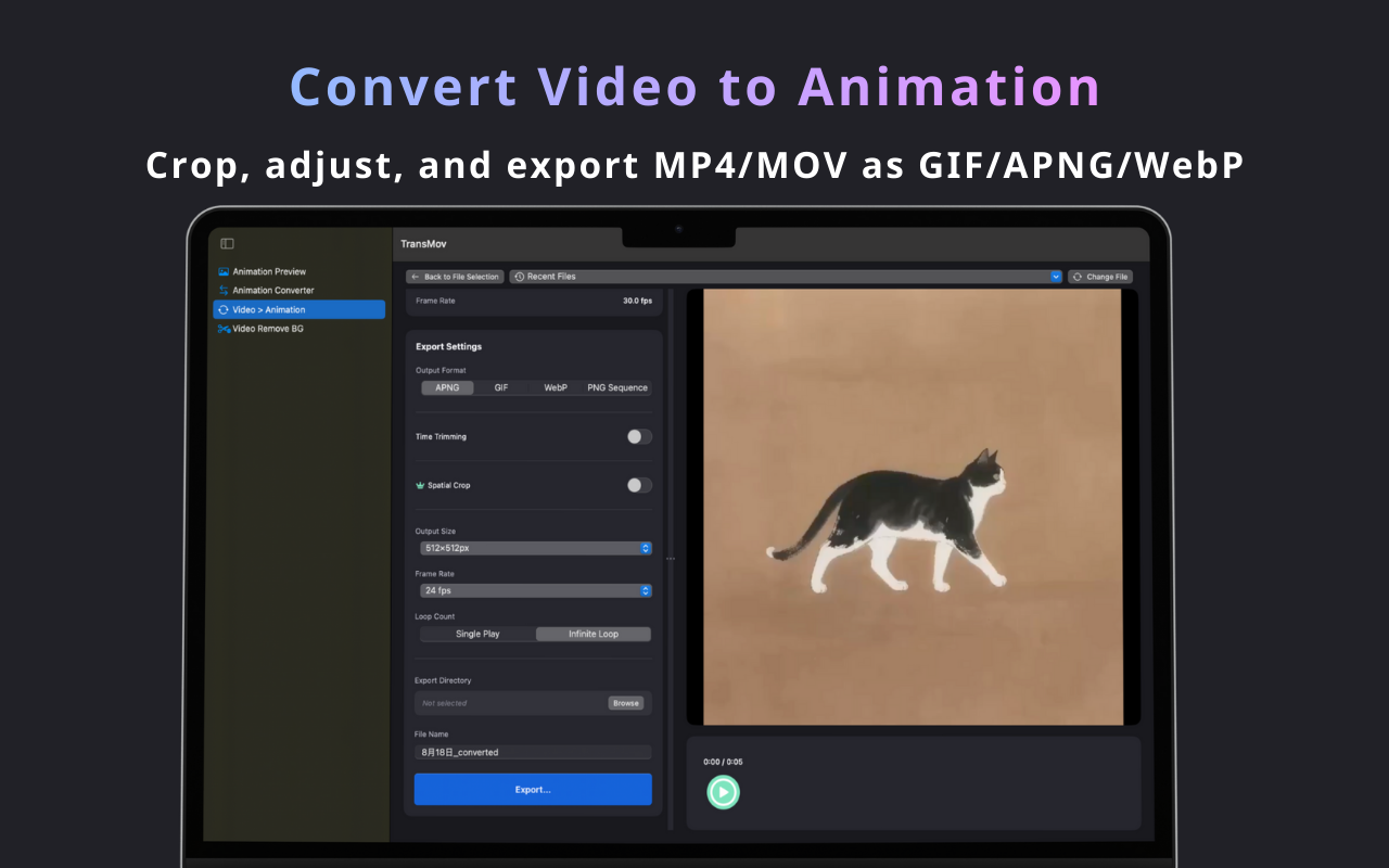 TransMov screenshot 5