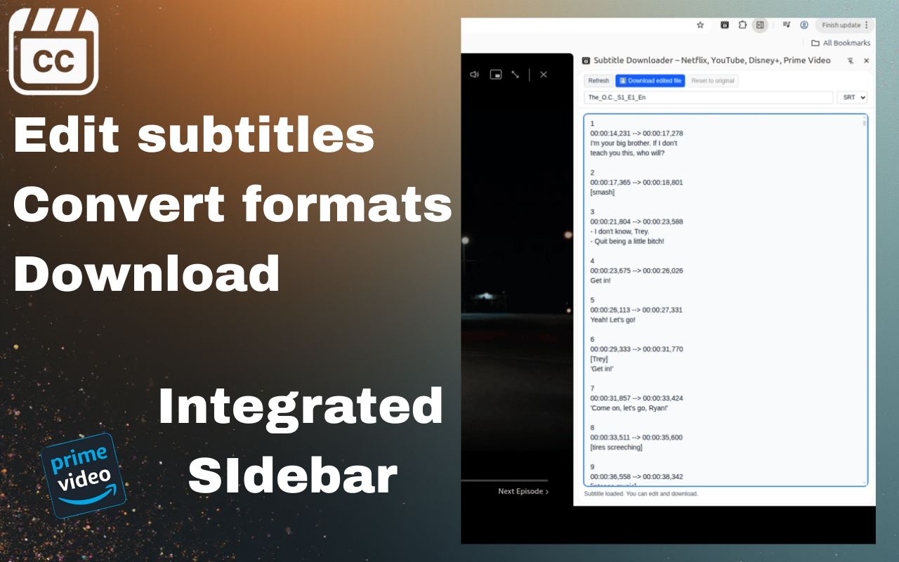 Subtitle Downloader for Netflix, YouTube screenshot 7