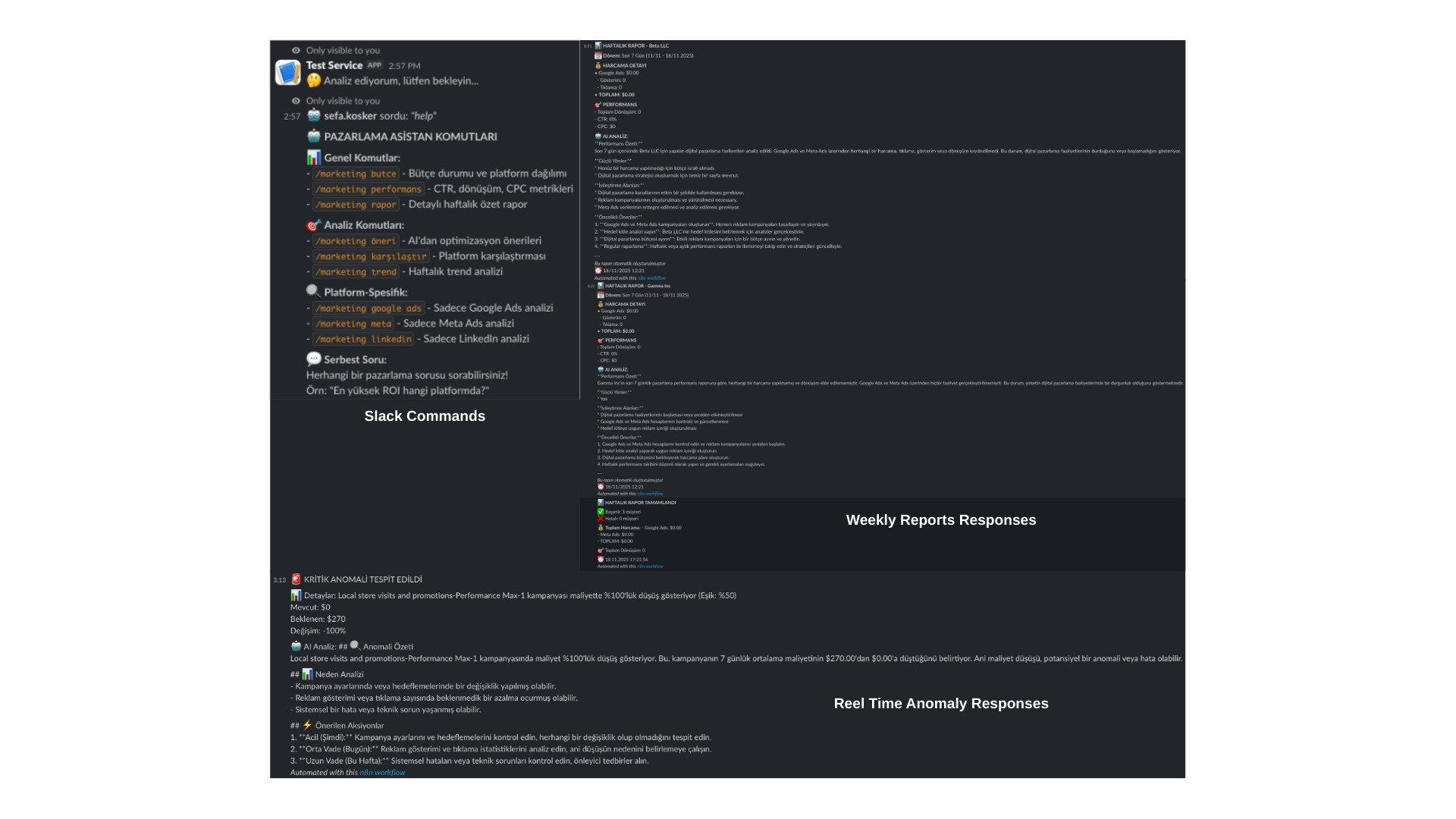 Marketing Automation Suite screenshot 2