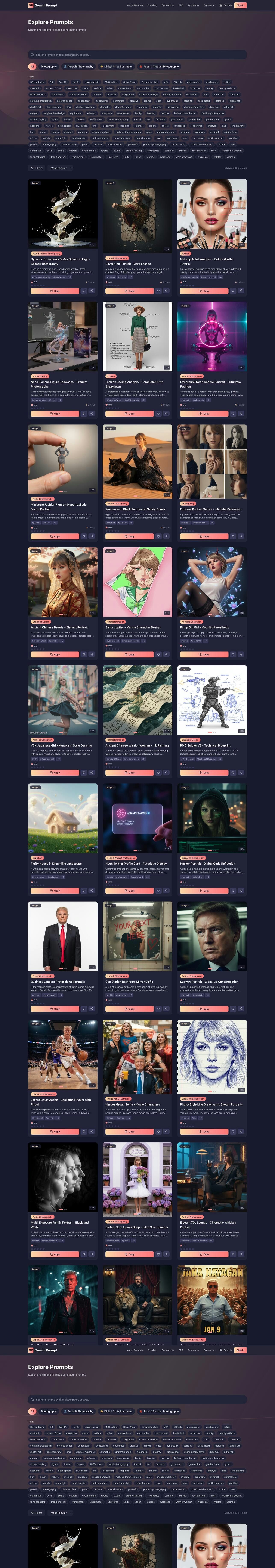 Gemini Prompt screenshot 2