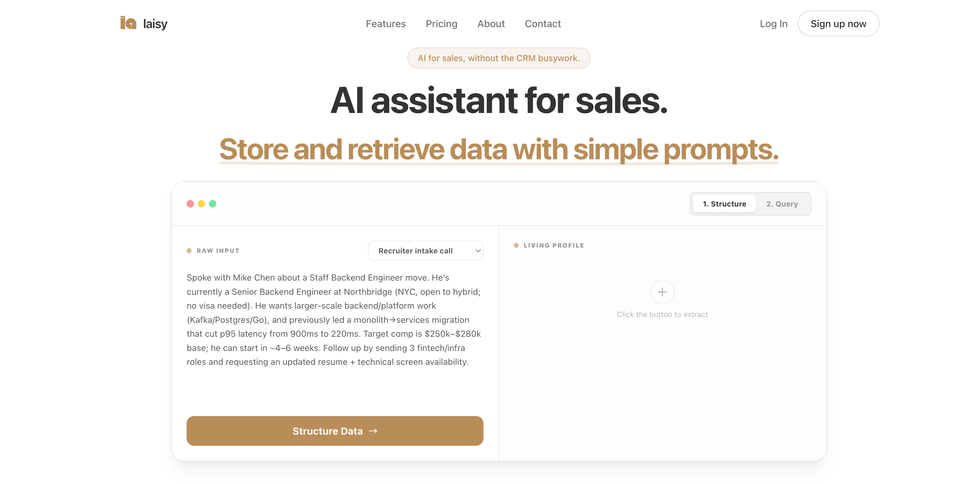 laisy - Your AI Data Assistant screenshot 2