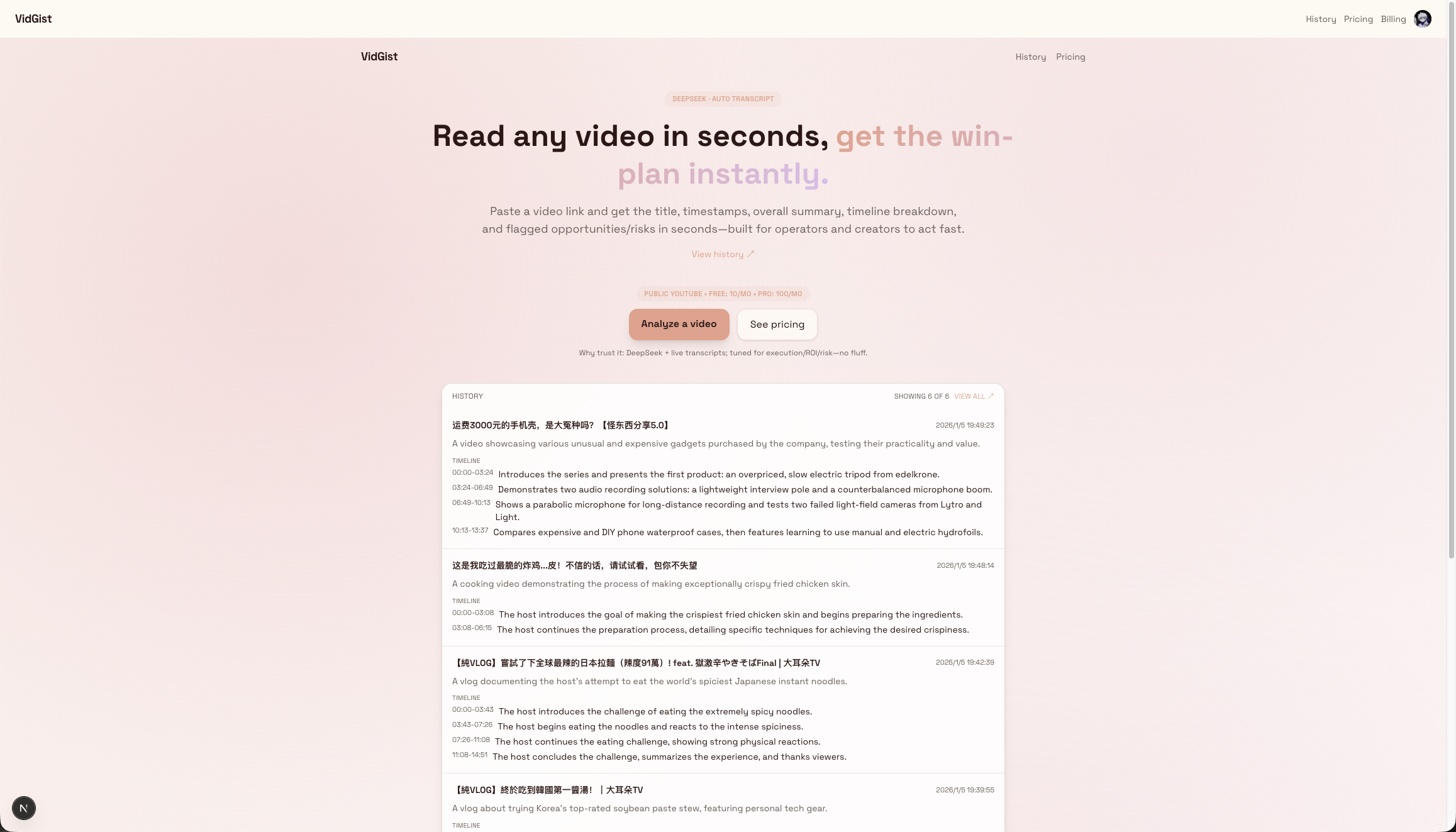 VidGist screenshot 2