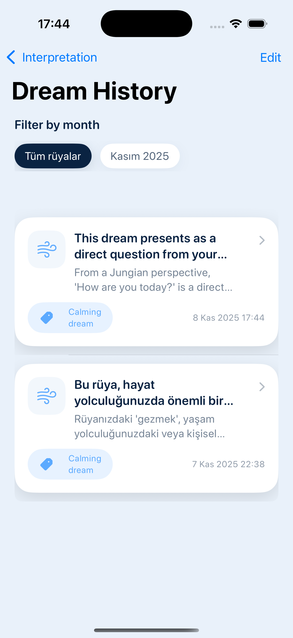 RuyaAI screenshot 4