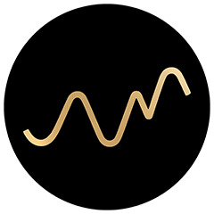 RSI Trader