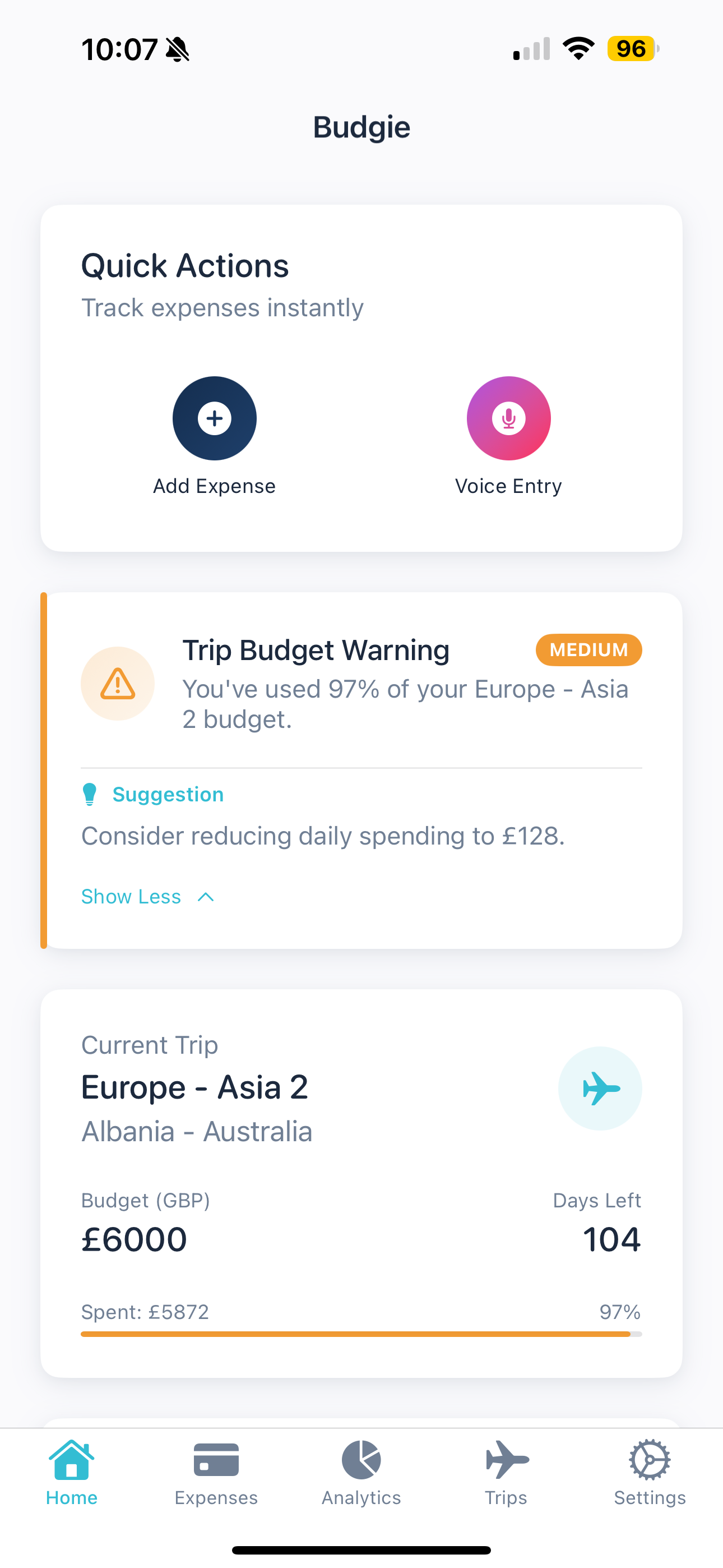 BudgieAI - Expense Tracker screenshot 1