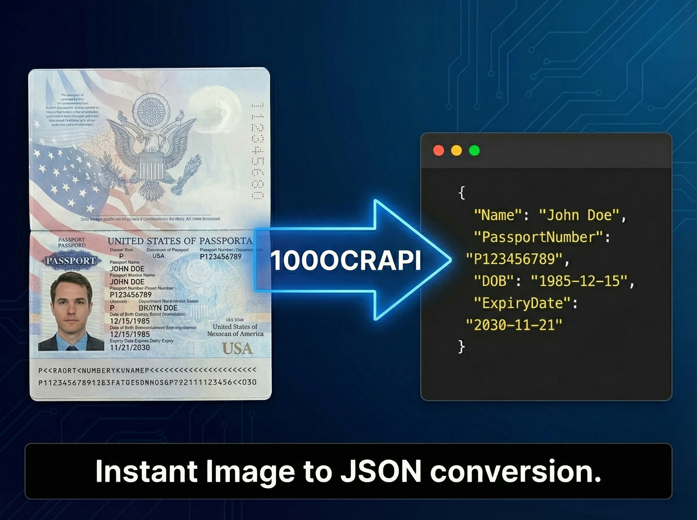 100OCRAPI screenshot 1