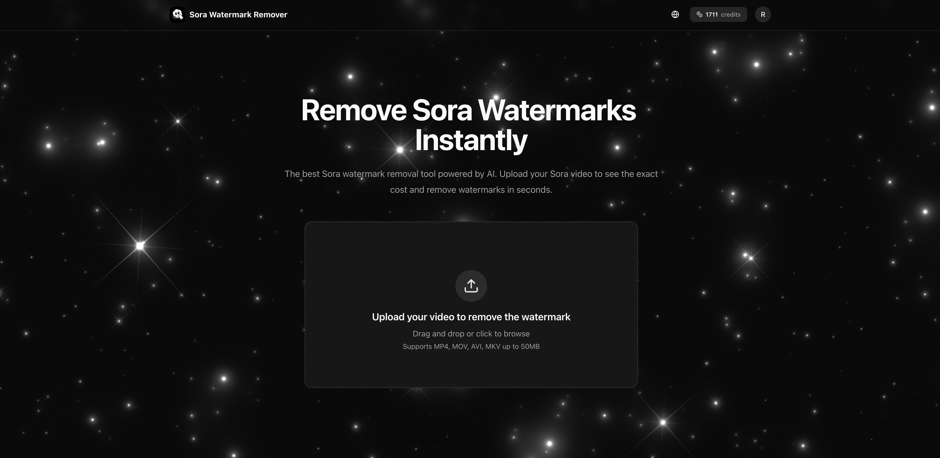 Sora Watermark Remover screenshot 1