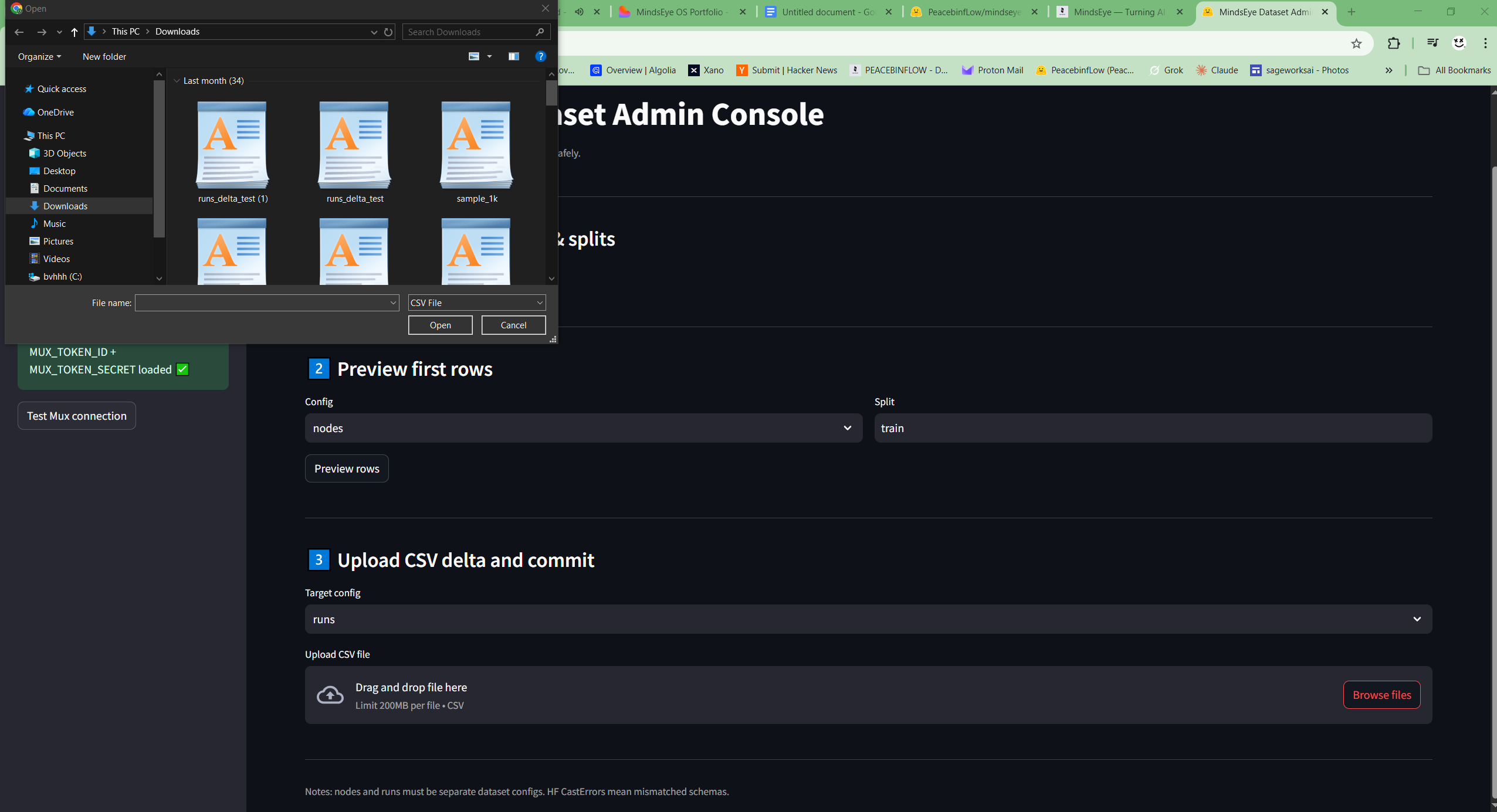 MindsEye Dataset Admin Console screenshot 3