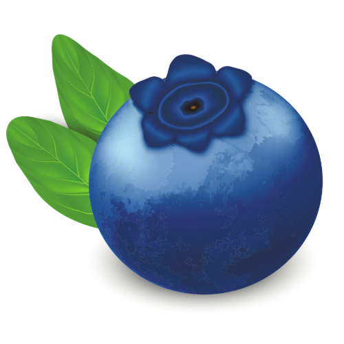BilberryDB