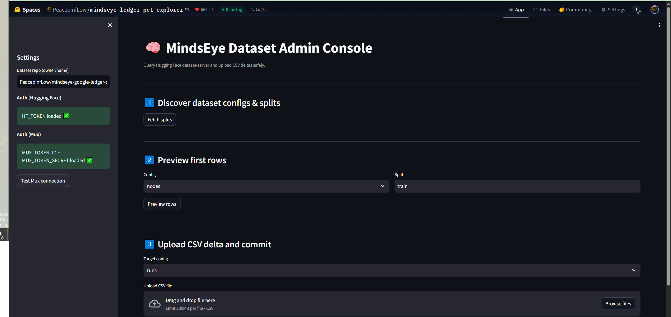MindsEye Dataset Admin Console screenshot 1