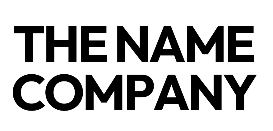 THE NAME COMPANY screenshot 1