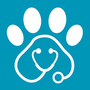 Pawhealth AI