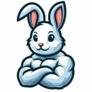 Virtual MCS virtual coach + V2