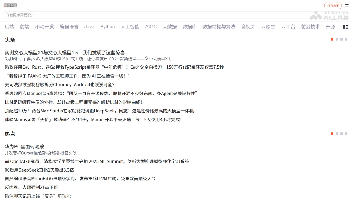 CSDN screenshot 1