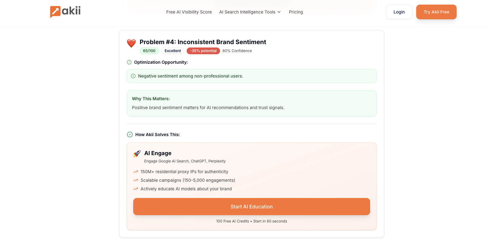 Akii AI Visibility Score screenshot 6