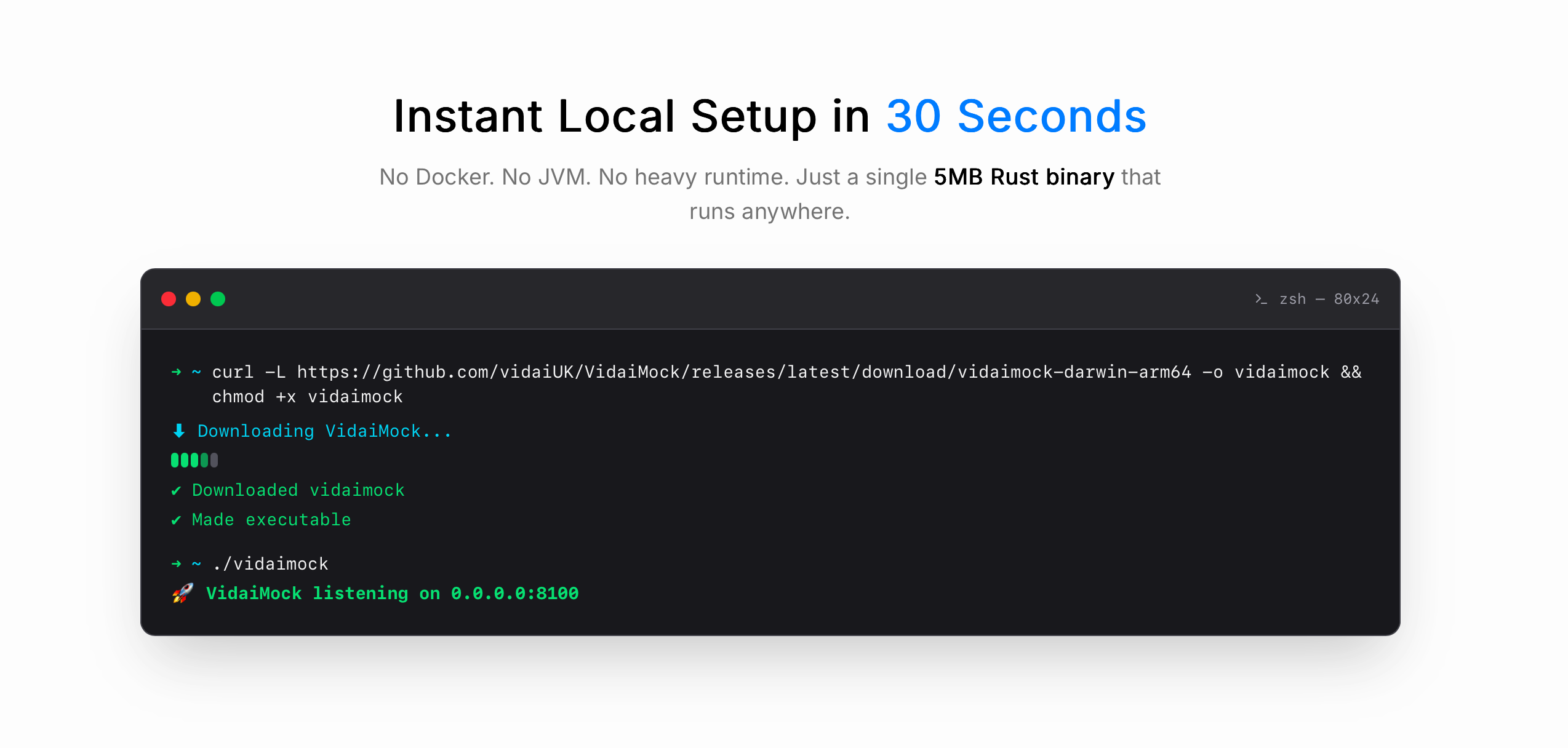 VidaiMock screenshot 4