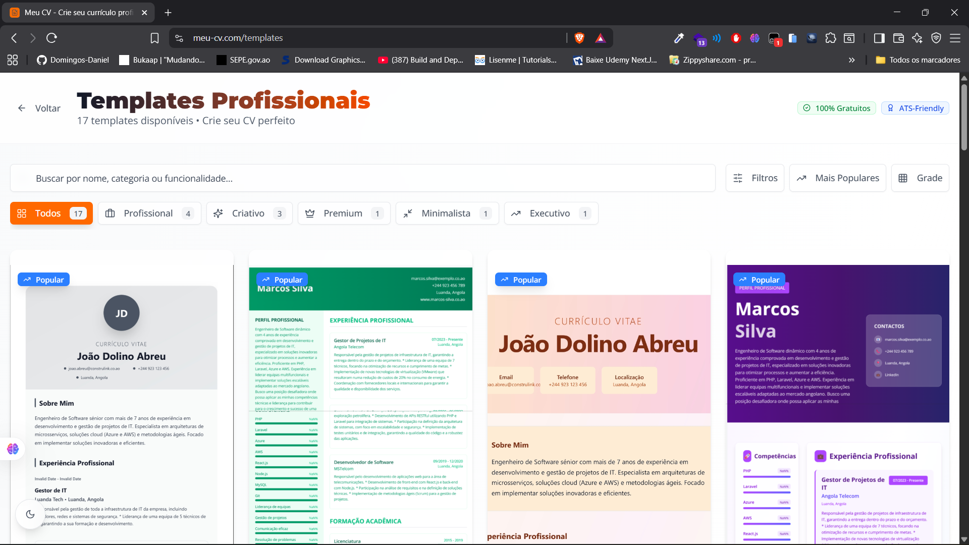 Meu CV screenshot 8