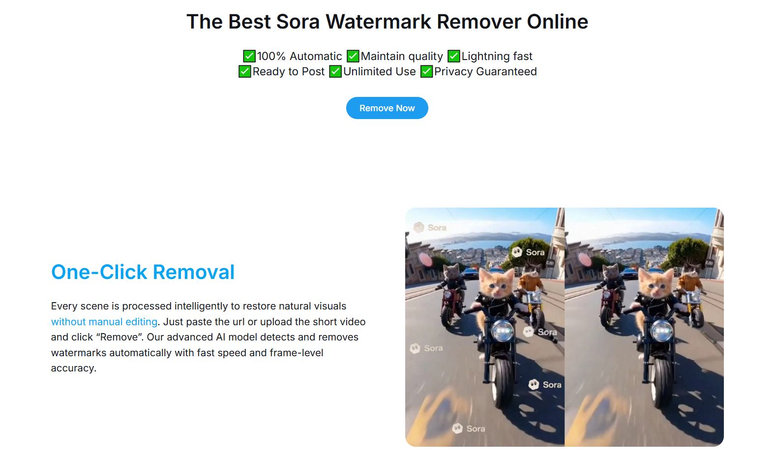 Sora Watermark Remover screenshot 2