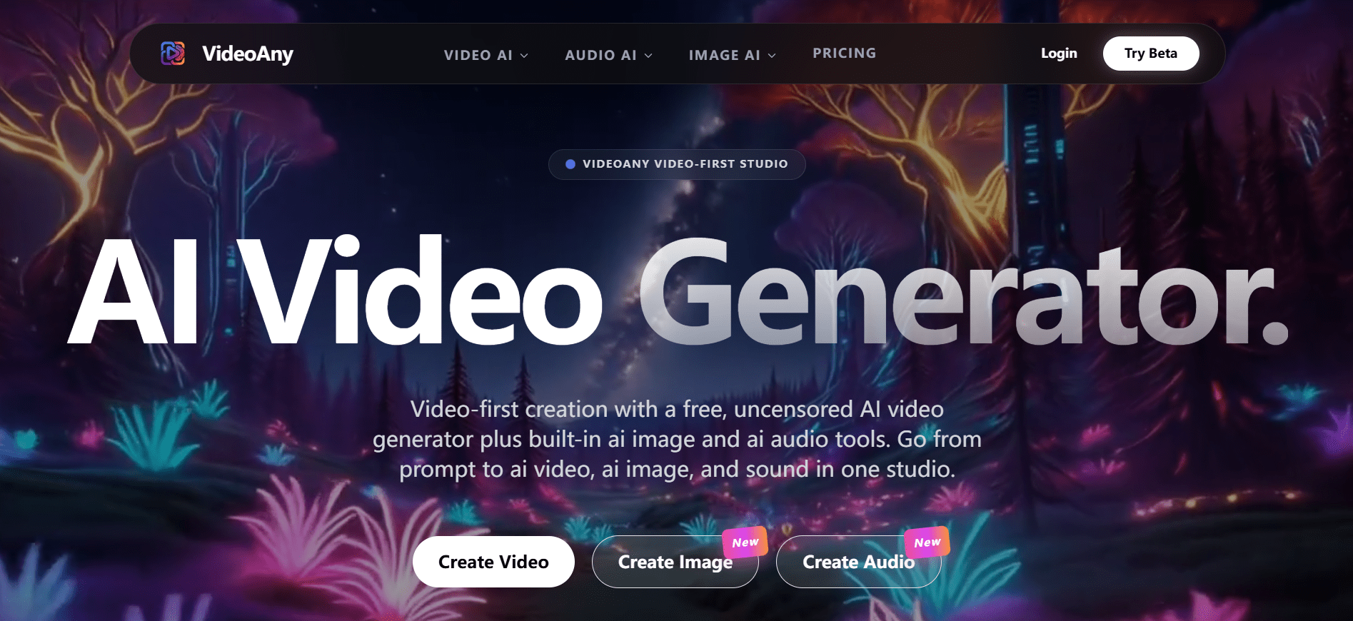 VideoAny screenshot 2