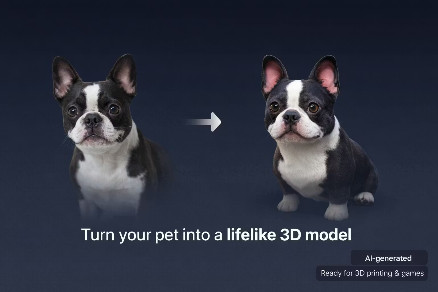 Magic 3D Pet screenshot 2