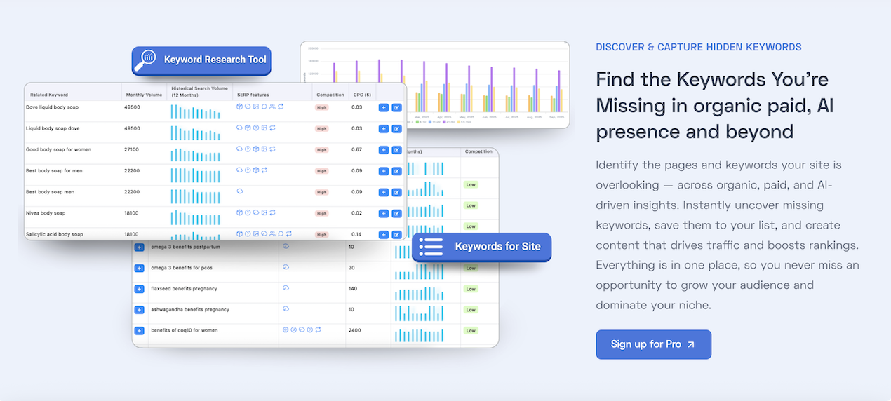 DOT SEO TOOLS - pro screenshot 4