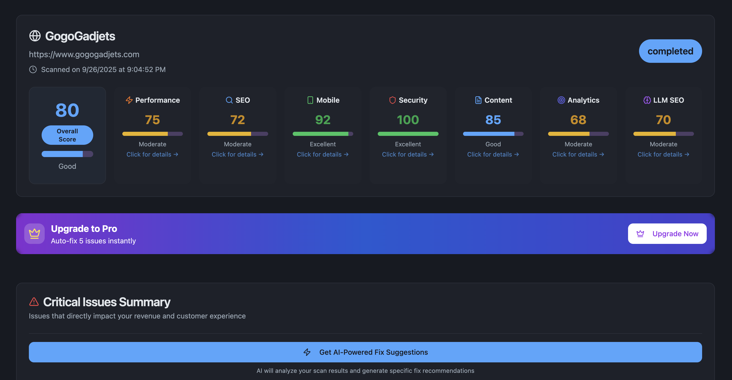 WebFixr AI – Free AI Website Audit screenshot 2