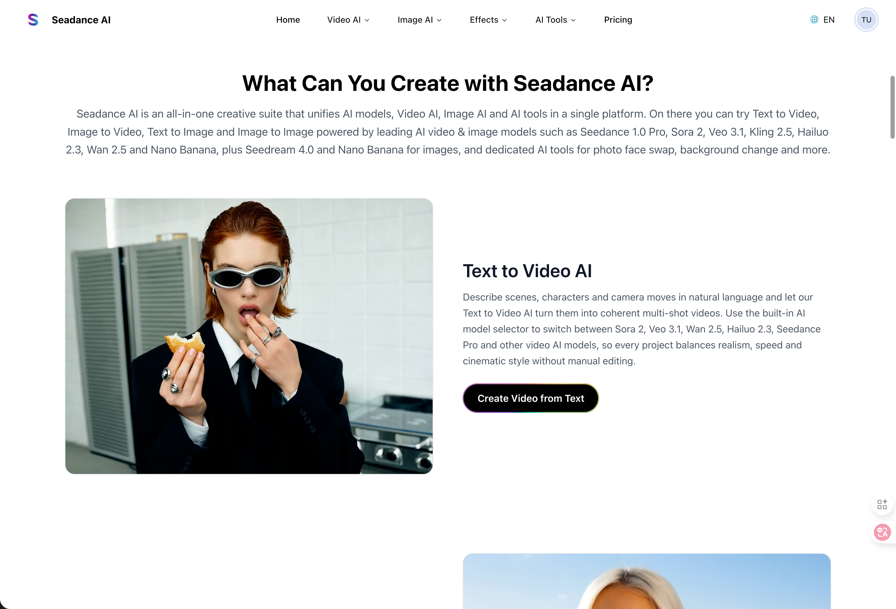 Seadance AI screenshot 2