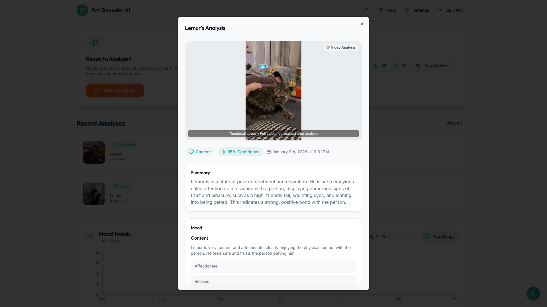 Pet Decoder AI screenshot 4