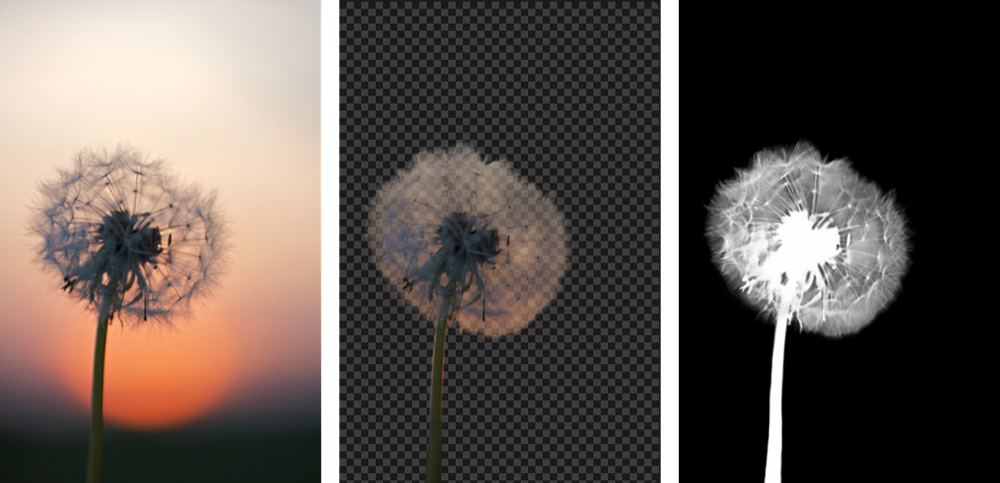 withoutBG screenshot 4