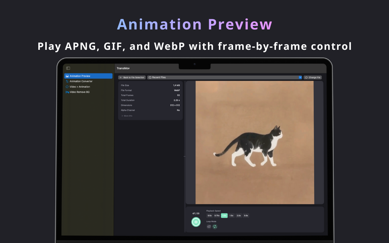 TransMov screenshot 2