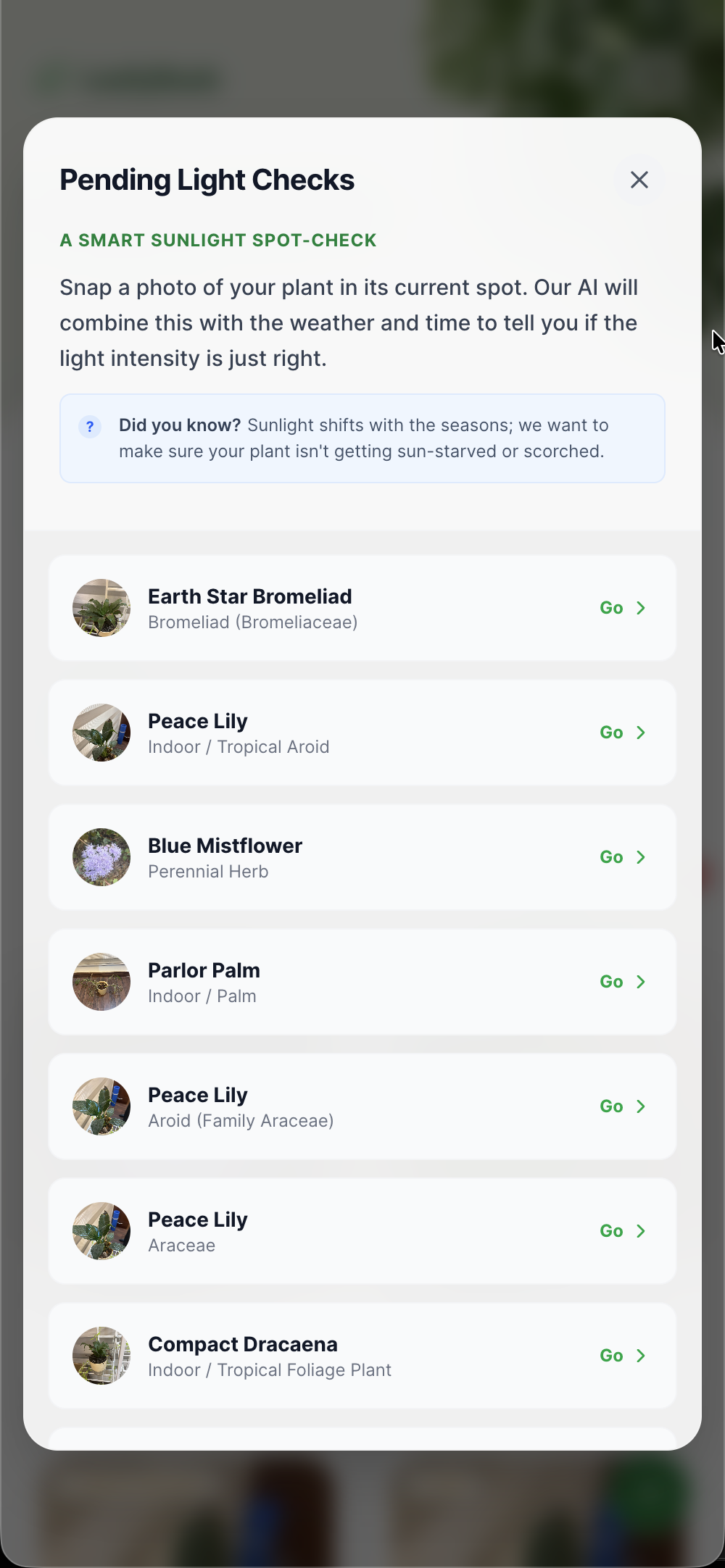 LeafyBook screenshot 4