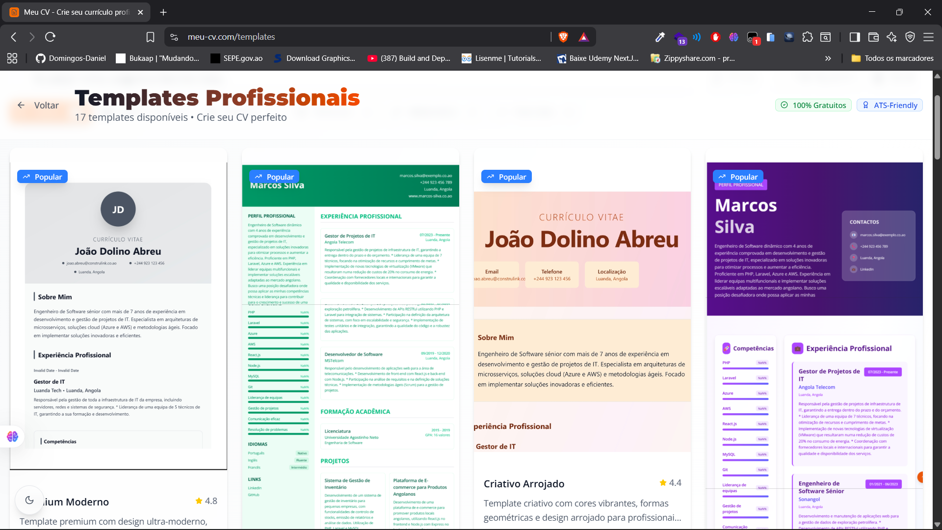 Meu CV screenshot 9