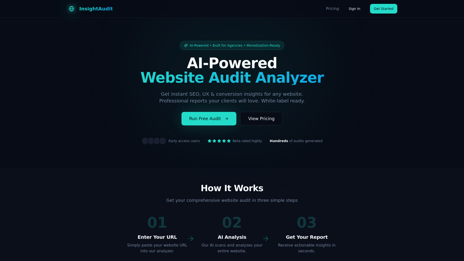 InsightAudit screenshot 2