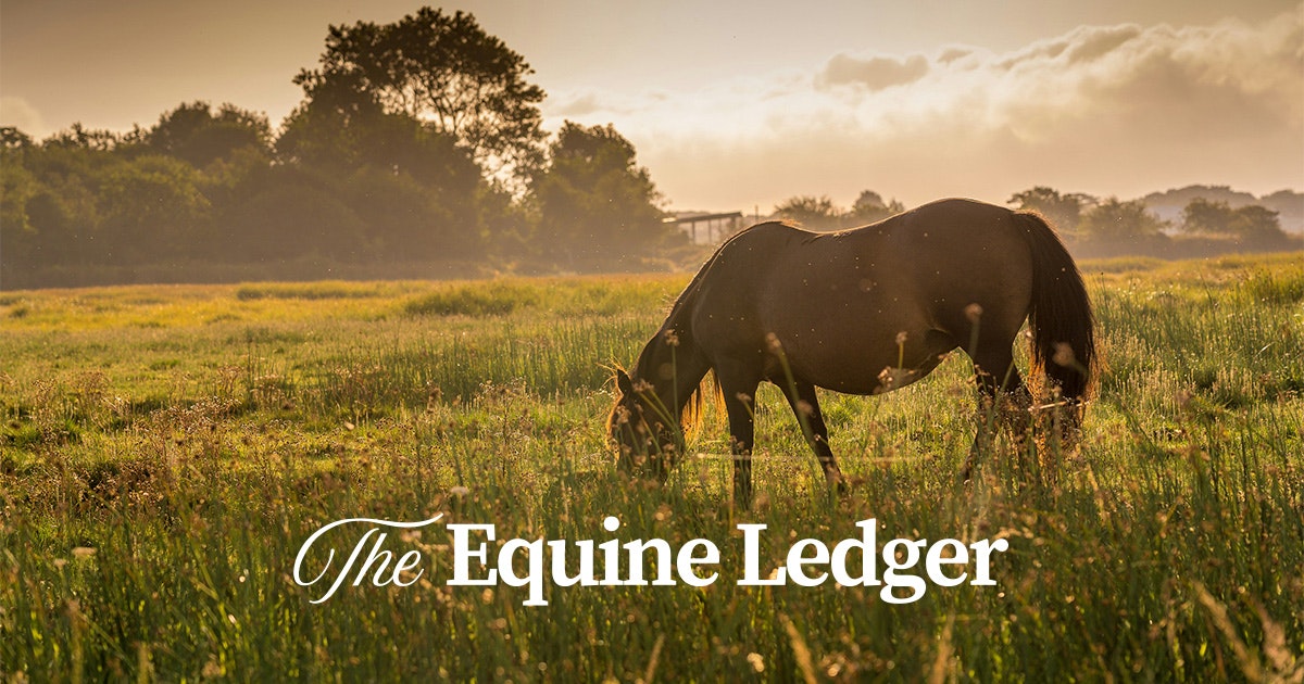 The Equine Ledger screenshot 1